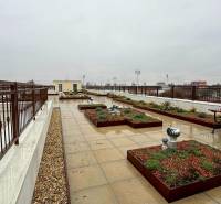 A terrace with a view of Komárno, at a 2-room apartment, with plants and benches.