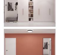 In the 2-room apartment, there is a white storage space and an orange wall with a door.
