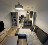 Living room with kitchen in a 2-room apartment, gray sofa, floor with wood decor.