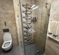 Bathroom in a 2-room apartment with a glass-enclosed shower and toilet, tiled.