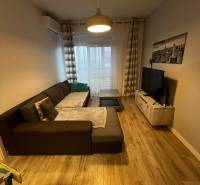 Living room in a 2-room apartment with a comfortable sofa and a wooden-patterned floor.