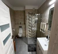 A bathroom with a modern shower enclosure and designer tiles in a 2-room apartment.
