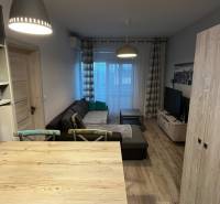 Living room in a two-room apartment with a sofa, table, and wooden decor flooring.