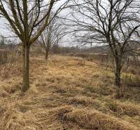 Sale Land – for living, Land – for living, Dubník, Nové Zámky, Slovaki