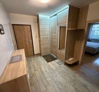 Entrance hall in a 3-room apartment with a wooden decor floor, wardrobe, and mirror.