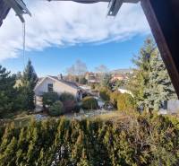 The garden of a family house overlooking Jelenecká Street in Nitra, surrounded by greenery.