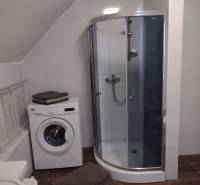 A bathroom in a family house with a washing machine, a shower corner, and a floor with a wooden decor.