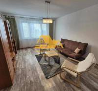 Living room in a 3-room apartment with a sofa, an armchair, and a wooden-patterned floor.