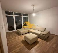 Living room in a 2-room apartment with a sofa and a wooden decor floor.
