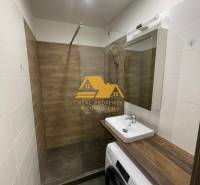 Bathroom in a studio apartment with a sink, shower, and washing machine, wooden decor.