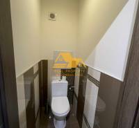 A toilet with tiles and cladding in a studio apartment, hidden ventilation system.