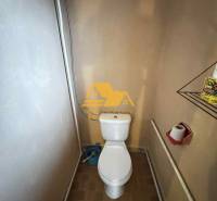 A bathroom in a family house with a toilet, shower, and brown tiles.