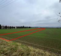 Green commercial land in Pruské, bordered by a red line in the photograph.