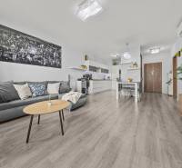 Living room in a two-room apartment with a wooden decor floor, gray sofa, and plants.