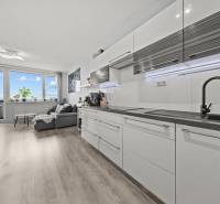 Kitchen and living room in a 2-room apartment with wood-patterned flooring.