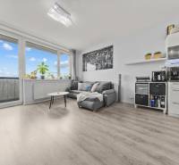 Living area of a 2-room apartment with a sofa, table, and wooden decor flooring.