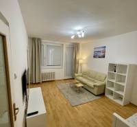Living room with a sofa, television, and wooden decor flooring in a studio apartment.