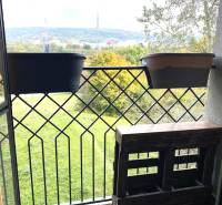 A balcony with a view of greenery and the city skyline, floor with wooden decor.