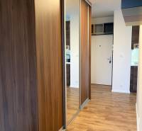 Entrance hall of a 3-room apartment with a wooden decor floor and a mirrored wardrobe.
