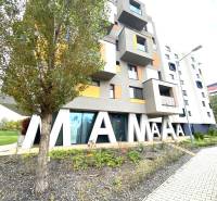 Building with a sign and a tree on Nejedlého Street in Bratislava - Dúbravka.