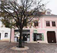 Commercial spaces on Hauptstraße in Eisenstadt with wooden decor, a tree, and historic buildings.