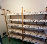Storage space in a 3-room apartment with wooden shelves and a green floor.