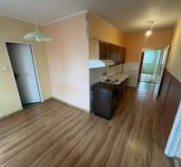 Kitchen and dining area in a 3-room apartment with a wooden decor floor.