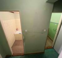 A hallway with an entrance to the bathroom and toilet in a 3-room apartment.