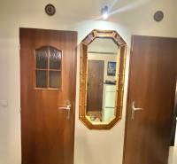 Wooden doors and a mirror in the hallway of a 2-room apartment interior with a decorative carpet.