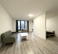 A one-bedroom apartment with a wooden decor floor, a sofa, and a dining area.