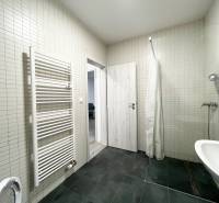 A bathroom in a studio apartment with dark tiles and a ladder radiator.