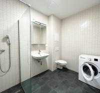 Bathroom in a studio apartment with a washing machine, shower, sink, and toilet.