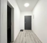 Entrance hallway of a one-room apartment, light walls, floor with wood decor.