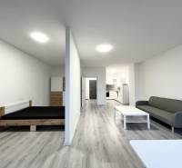 Interior of a 1-room apartment with a wooden decor floor, bed, and sofa.