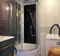 Bathroom in a 2-room apartment with a shower and a washing machine, tiles with a wood decor.