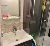 Bathroom in a 2-room apartment with a sink and a shower, decorative tiles on the wall.