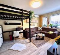 Living room with a bunk bed, sofa, and wood-patterned flooring in a studio apartment.