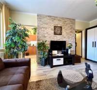 A living room in a studio apartment with plants and a wooden decor floor.