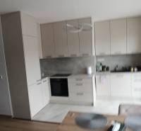 A kitchen in a 2-room apartment with minimalist cabinets and a wooden decor floor.