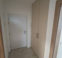 Entrance hallway in a 2-room apartment with white doors and a built-in wardrobe.
