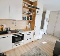 A small kitchen unit in a studio apartment with a wooden decor floor.