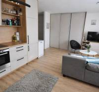 Interior of a 1-room apartment with a gray sofa, kitchen unit, and floor with wood decor.