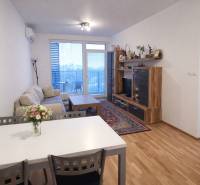 Living room in a two-room apartment with a wooden decor floor and a balcony.