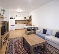 Living room with a kitchenette in a 2-room apartment, floor with a wooden decor.