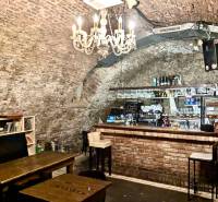Antique style in gastro spaces with a brick bar and books under the chandelier.