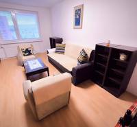 Living room in a two-room apartment with comfortable seating and a wooden decor floor.
