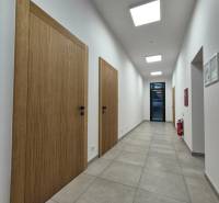 A hallway with light tiles, wooden doors, and ceiling lights in a studio apartment.