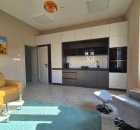 Interior of a 1-room apartment with a kitchen unit, green carpet, and wooden decor flooring.