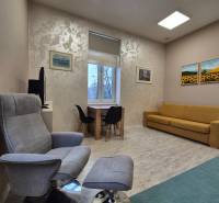 Living room of a one-room apartment with an armchair, sofa, and table, floor with wood decor.