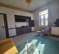 Bright living room in a studio apartment with a kitchen and wooden decor flooring.